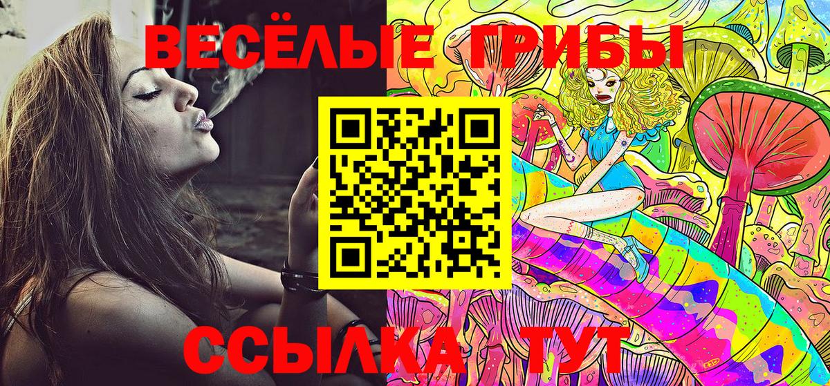 Галлюциногенные грибы Psilocybe Бор